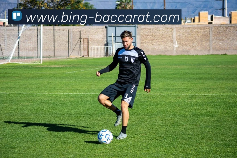 百家乐网站平台生态图